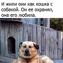 ���� ��������, �����-���������, 63 ���� - ��������� 23 ������� 2017