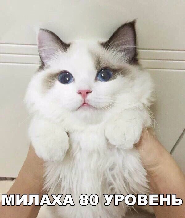    :D - 18  2017  21:38