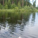 ���� ����, �����������, 63 ���� - ��������� 22 ������� 2017