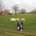 ���� ����, ������ - ��������� 10 ������� 2017 � ������ ���� ����������