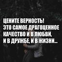 ���� ����, ������, 46 ��� - ��������� 14 ������� 2017 � ������ ������ ��������