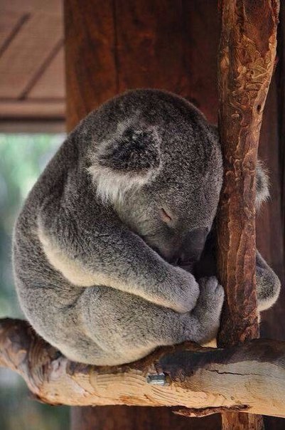   .. - 10  2017  20:51