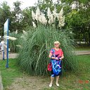 ���� ������, �������� - ��������� 27 ������� 2017 � ������ ���� ����������