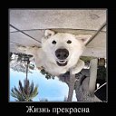 ���� ��������, ������, 48 ��� - ��������� 13 �������� 2017 � ������ ���� ����������
