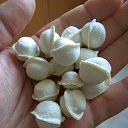 ���� ������, �����������-��-�����, 53 ���� - ��������� 5 ���� 2017 � ������ ���� ����������