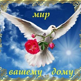 ����, ����, 64 ����