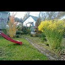 ���� ��������, ������, 39 ��� - ��������� 14 ������� 2017