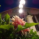  Fri, , 64  -  2  2017    2017