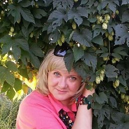 �����, ��������