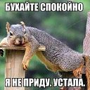 ���� ���, ������-��-����, 46 ��� - ��������� 16 ��� 2017 � ������ ���� ����������