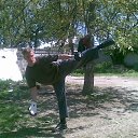 ���� ������, �������, 38 ��� - ��������� 3 ���� 2017 � ������ ���� ����������