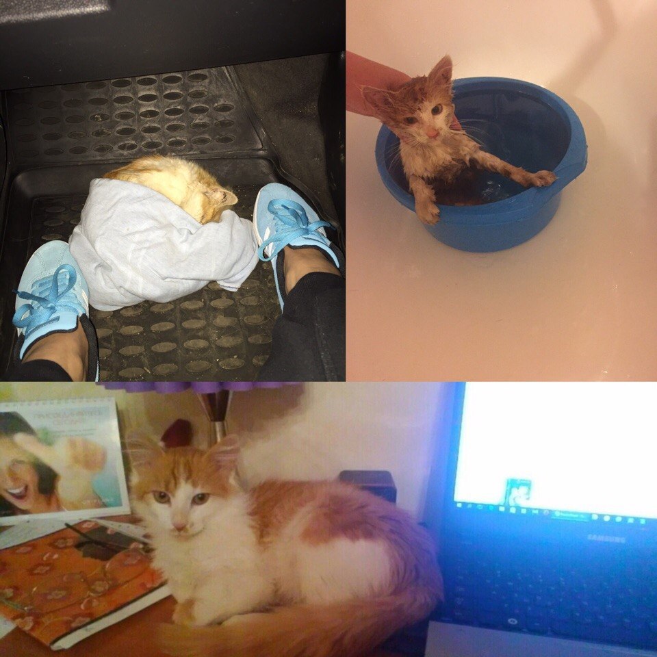 #Безкота_добро.Этого мальчишку нашли месяц назад на дороге. При обследовании в клинике выяснилось, ...