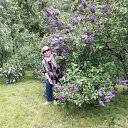  , , 70  -  7  2017   vesna