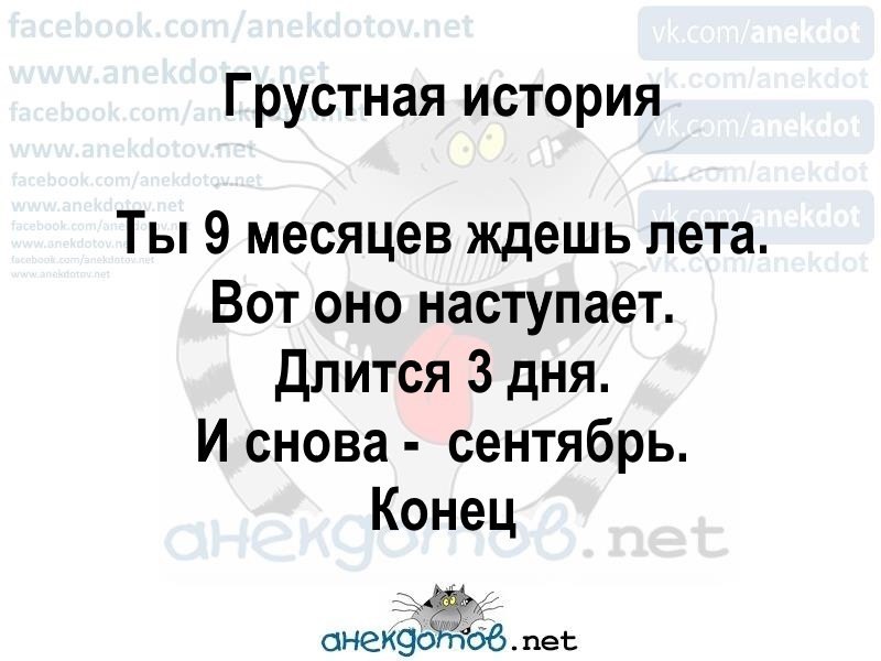   - 3  2017  13:28
