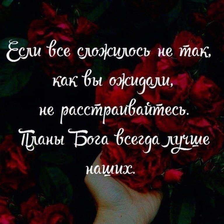    - 11  2017  03:23