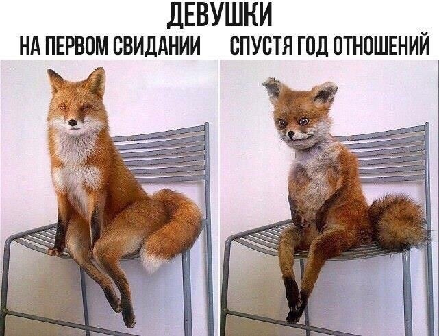   , ?