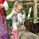 ���� ����������, ������� ��������, 63 ���� - ��������� 27 ������� 2017 � ������ ���������� �������� ���������