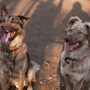 ��� ������� ��� � ���� �� ������� ���� ����������