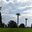  , , 60  -  17  2017      ,17.05.17.