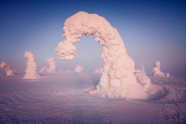 Это всего лишь деревья, покрытые метровым слоем снега. Такое часто происходит на полярном круге, ...