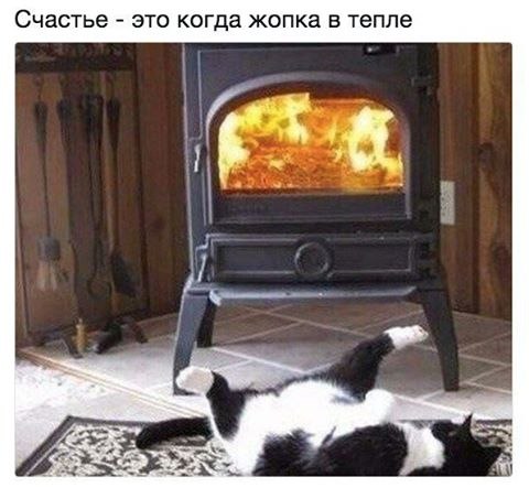  ...)
