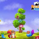 ���� �������, ����, 71 ��� - ��������� 11 �������� 2017 � ������ �������� �������-�������