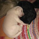 ���� ����, ������� - ��������� 10 ��� 2017 � ������ ���� ����������