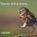 ���� ������, ������, 59 ��� - ��������� 7 ���� 2017 � ������ ���� ����������
