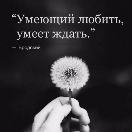  | ,  - 5  2017  07:28
