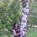 ���� �������, ���������, 52 ���� - ��������� 19 ������� 2017 � ������ ���� ����������