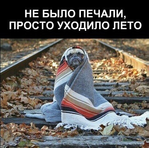  - 20  2017  13:01