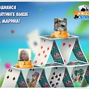 ���� (����)������, ������, 51 ��� - ��������� 27 ������� 2017 � ������ �������� �������-�������