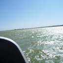 ���� ���������, ��������, 54 ���� - ��������� 10 ������� 2017 � ������ ������