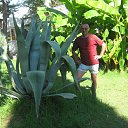 ���� ������, ������, 60 ��� - ��������� 4 ������� 2017 � ������ ���� ����������