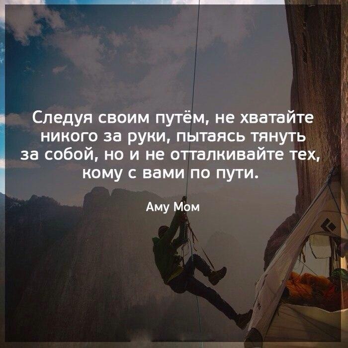 IQ Blog: , , ,  - 15  2017  06:06
