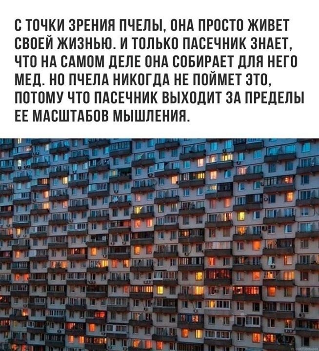 IQ Blog: , , ,  - 25  2017  15:06