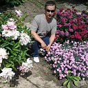 ���� ����, ������� - ��������� 10 �������� 2017 � ������ ���� ����������