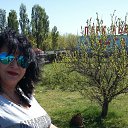 ���� �������, �����������, 53 ���� - ��������� 1 ��� 2017 � ������ ������ ��������