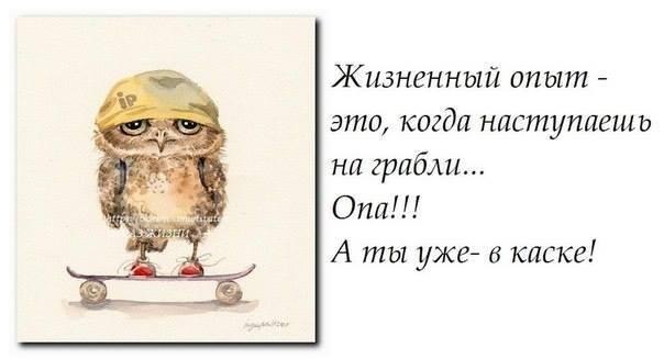 IQ Blog: , , ,  - 10  2017  20:08