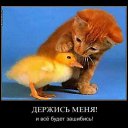 ���� �������, �����-���������, 55 ��� - ��������� 30 ���� 2017 � ������ ���������Ȼ