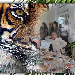 ���� �����, ������, 61 ��� - ��������� 15 ������ 2017