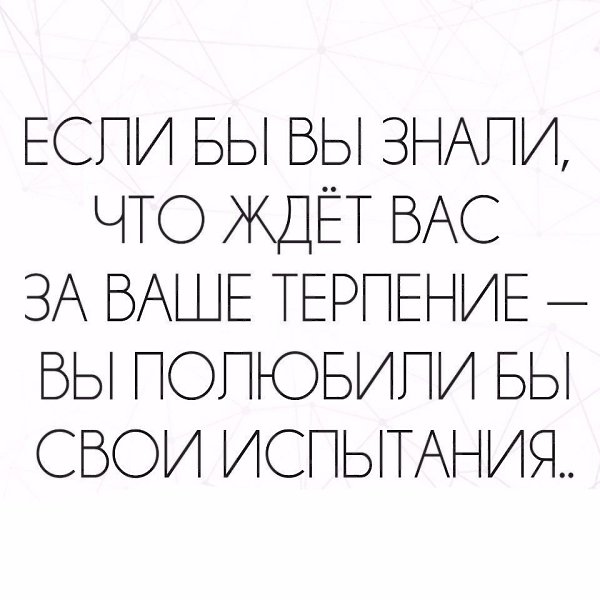   -  ,  -  - 30  2017  22:28