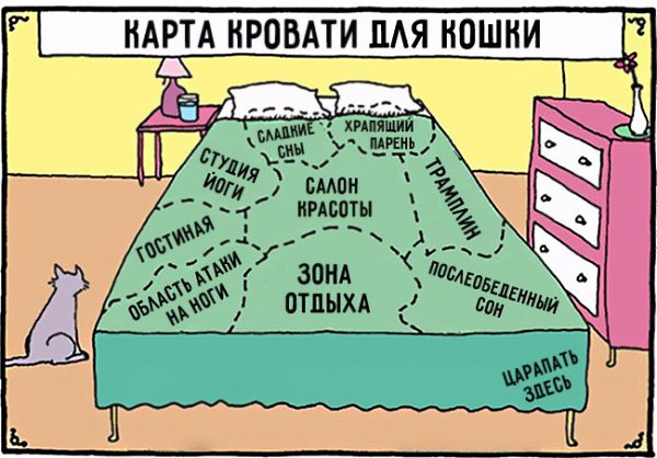 15 ,      - 7