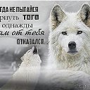 ���� ����, ����, 47 ��� - ��������� 14 ������ 2017 � ������ ���� ����������