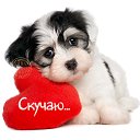 ���� Tatiana, ������� - ��������� 13 ������� 2017 � ������ ������ ��������