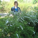 ���� �������, ������, 48 ��� - ��������� 29 ��� 2017 � ������ ���� ����������