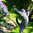 ���� �������, �����-��������� - ��������� 10 ���� 2017 � ������ ������ ��������