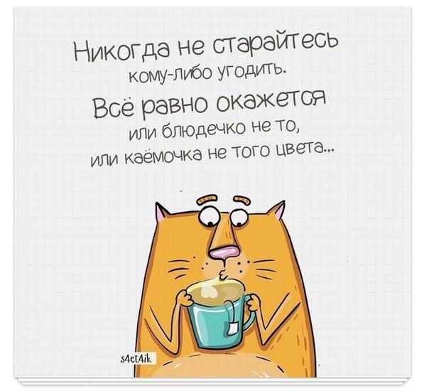   - 6  2017  19:39
