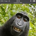 ���� ���������, ����������, 68 ��� - ��������� 18 �������� 2017 � ������ ���� ����������