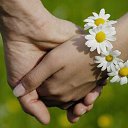 ���� *** ����� ***, ������, 52 ���� - ��������� 22 ������� 2017